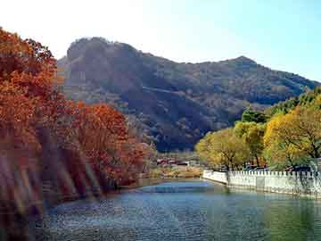 管家婆黑白马报图库，江湖劫